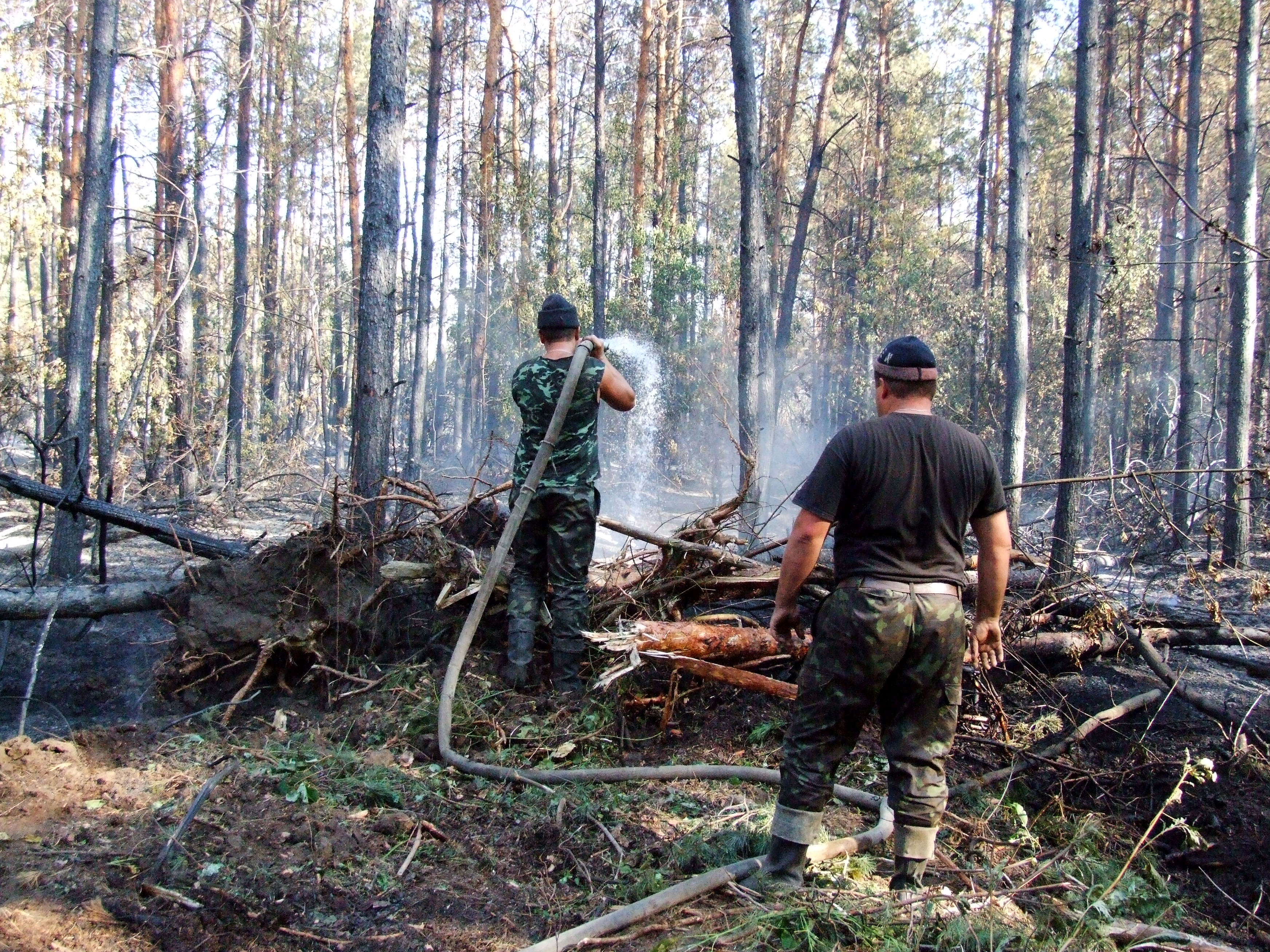 5211696-firemen-fighting-a-bushfire